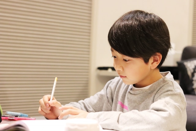 フリースクールの魅力と未来~新たな教育モデル~