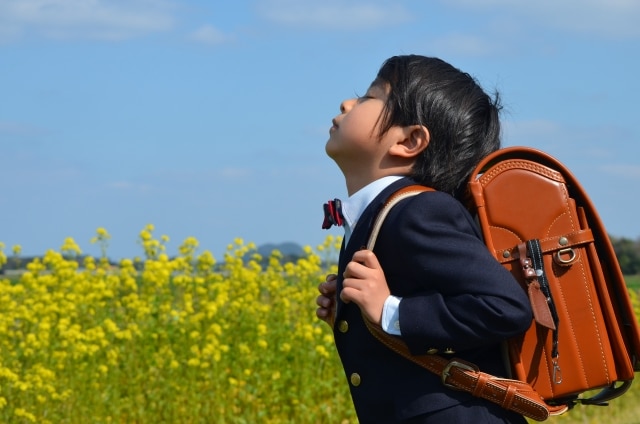 不登校になったら最初に親がやるべきこと｜焦らないための対応ガイド