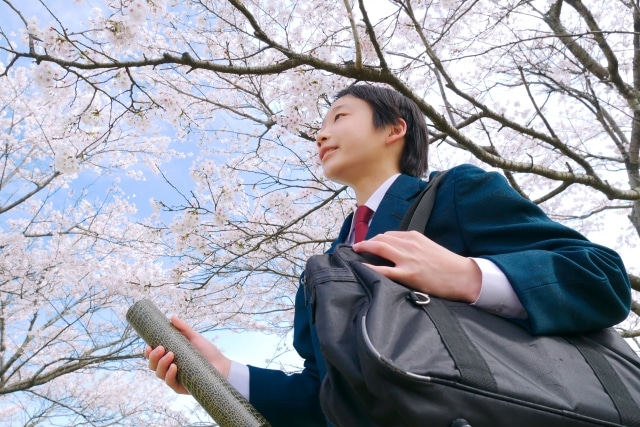 フリースクール卒業後の進路は？高校・大学・就職の事例を紹介