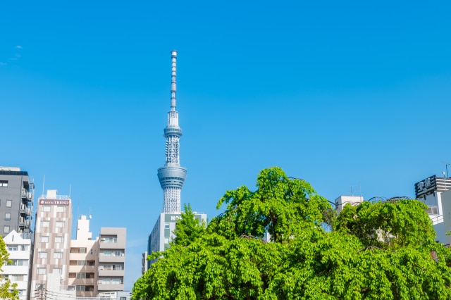 【2026年最新版】東京でおすすめの不登校支援フリースクール5選！